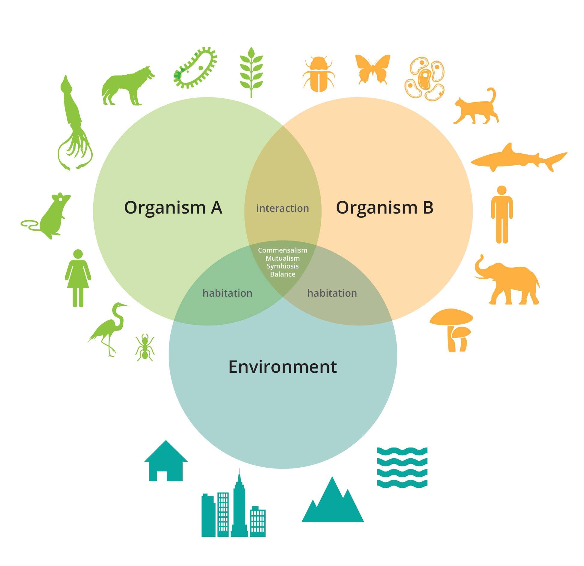Designing Life