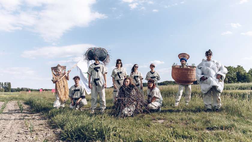 Guided tour: Dandelion Trips